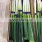 china fresh scallion with long shape