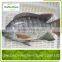 Organic Tilapia Fillet Fishs With Frozen
