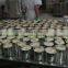 Vietnam canned pineapple chunks in A10 cans, competitive price, high quality