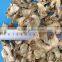 Dried Sliced Ginger - Vietnam Best Selling Product