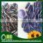 export Chinese bulk long shape sunflower seeds
