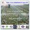 Poultry Chicken Farming of Broilers