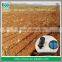 Agriculture Drip Irrigation System Drip Pipe