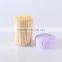 chinese supplier tooth cleaning toothpick