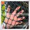 6 feet high mesh size 60x60mm PVC coated chain link fence for sport field