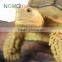 Nomo Non-toxic Super simulation High-quality Cute Land Hermann's Tortoise Model