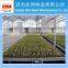 High Quality Greenhouse Rolling Benches