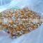 150kg/h American type continuous popcorn machine/High temperature roaster for corn flakes and pellets