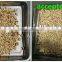 Hons+ CCD Color Sorter for Pumpkin Seeds
