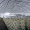 Agricultural greenhouse farm