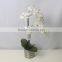 Realtouch orchid artificial flower arragements with flowers pots
