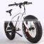 2017 New design 20 inch 36V 350W non-foldable electric fat bike