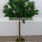 Artificial Plants - 3ft 4ft 5ft Buxus Bay Trees - Indoor Office House Plant