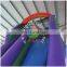 Aier 17m Long 56ft Giant Slide Outdoor Inflatable Water Slide for Sale