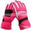 RIGWARL New Warm Winter Waterproof Ski Gloves