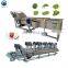 avocado washing machine blueberry washing machine vegetable washing and drying machine