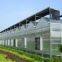 Multispan Venlo Type PC Sheet Greenhouse with A-Shape Roof