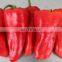 frozen red pepper frozen bell pepper with good quality and moderate price in China