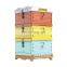 high quality langstroth beehive color plastic beehive