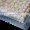 High Quality Grain Seal Texture Vacuum Packing Pouch Food Packaging Bags Vacuum sealer bag
