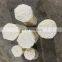 3MM Extruded ABS Plastic Welding Rod
