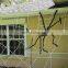 Wholesale 2022 New Tree Garden Hanging Spider Scary Yard Outdoor Halloween Decorations