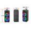 Dual 8 Inch Party Dj RGB Light Loud Outdoor Wireless Hifi Super Bass Karaoke Trolley Portable Speaker
