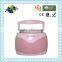 High Quality Stylish Handbag Shape AM FM Analogue Portable Radio