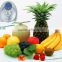 stylish design ozone generator purifier multifunctional ozone sterilizer for fruit and vegetable clean