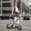 Veister 2016 Newest Foldable E-scooter/ electric scooter 250w 36v with seat and LED lighting system