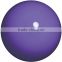 Rhythmic Gymnastics CHACOTT JUNIOR GYM Ball CJB-4-VI Violet