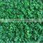 with BRC certificate iqf frozen spinach