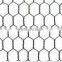 Electro/Hot Dipped Galvanized Gabion Wire Mesh