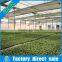 Hot galvanized invernadero agriculture greenhouse with side and top ventilation