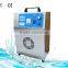 wall mounted Lonlf-well designed AP005 auto ozone generator air purifier/car ozone anion air purifier