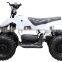 TDPRO-EA2 electric mini bike for sale