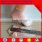 High fashion basic socks, custom wholesale socks for men women,ankle socks