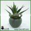 Mini Artificial Potted Aloe Succulent Plant in Concrete Barrel Pot