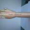 Long wrist wooden hand
