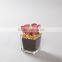 Flora Bunda Outdoor Decor Wholesale Artificial Potted Succulent Plants in glass pot