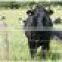 Livestock Metal Cattle Fence,Wholesale Bulk Cattle Fence,Cattle Fence