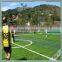 AVG Over 30 Years History Manufacture Fake Turf Cheap Football Fields Plastic Grass With Good Price