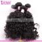 China supplier indian naturally curly weave hair bundles 100% raw indian curly hair