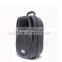 Speaker professional 8 inch with wireless microphone DP-689