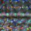 BOPP/PET Holographic Flim