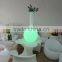 Modern LED Lighting Planter light up flower pot/LED design flower pot solar led