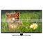 Wholesale 39 inch lcd tft monitor oem ips with full screen