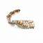 Latest Shoe Decorative Rhinestones With Attributes