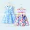 Chinese Factory Direct Wholesale All Cotton Kids Summer Short Sleeves Dress Princess Girl Dress