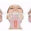 Facial Treatment Machines New Arrival Hifu High Intensity Focused Slimming Machine Hi Frequency Facial Machine